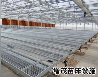 1476945019543018.jpg ydmc.jpg