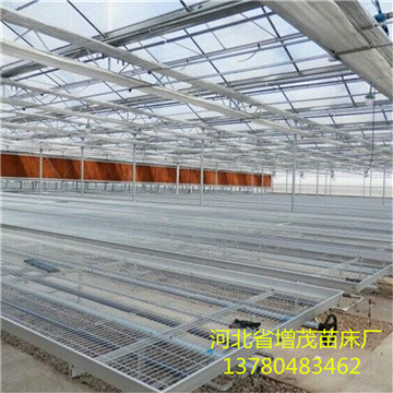 <a href='/' target='_blank'><a href='/' target='_blank'>溫室苗床</a>網(wǎng)</a>